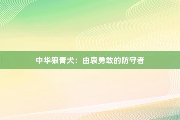 中华狼青犬：由衷勇敢的防守者