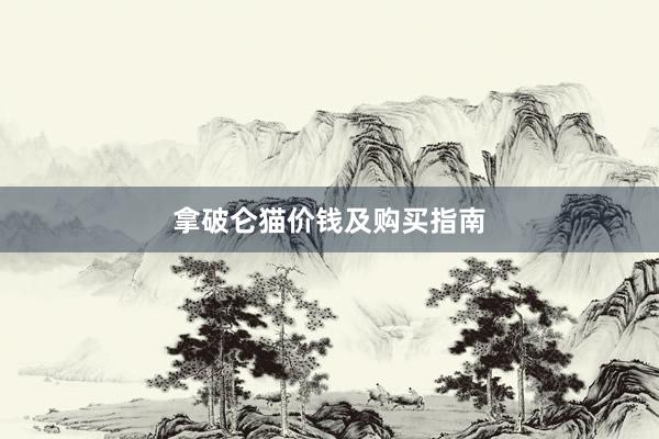 拿破仑猫价钱及购买指南